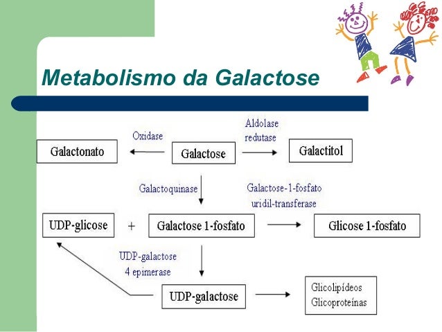 Exame metabolismo