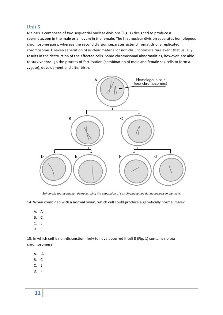 Gamsat essays