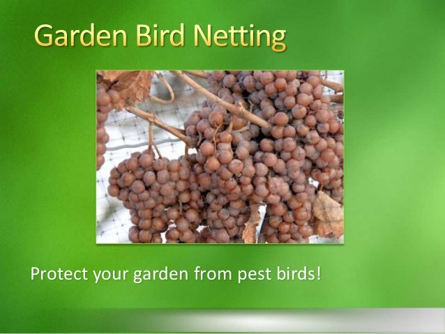 Garden Bird Netting
