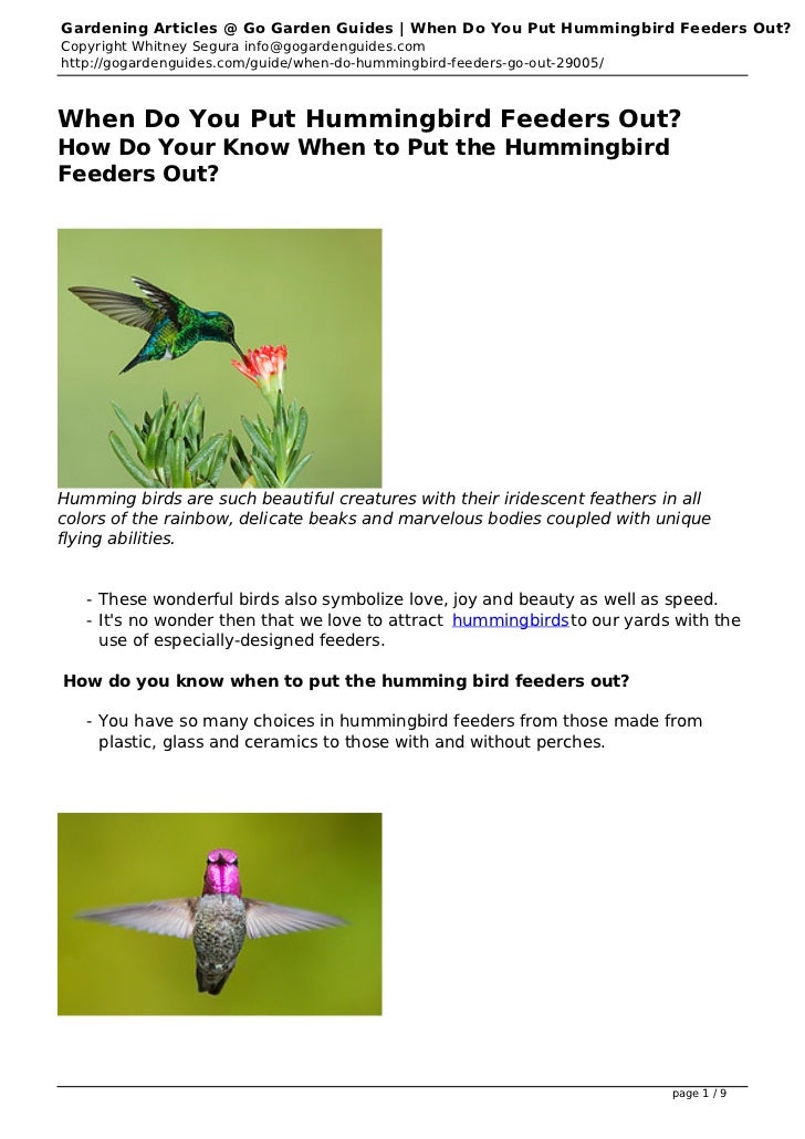 when do you put hummingbird feeders out when do you put hummingbird feeders out