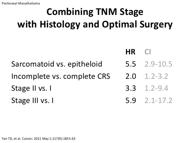 tesla model s navigation tesla motors aktie