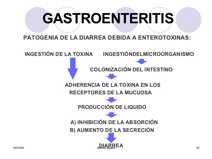 cadena epidemiologica gastroenteritis gastroenteritis cadena epidemiologica gastroenteritis gastroenteritis
