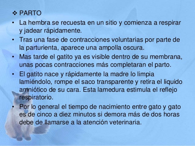 Las lavativas de ajo para la deducción de las lombrices