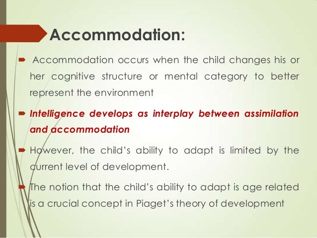 Assimilation Essay