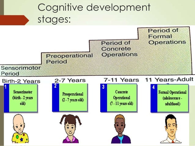 Cognitive Development Programs