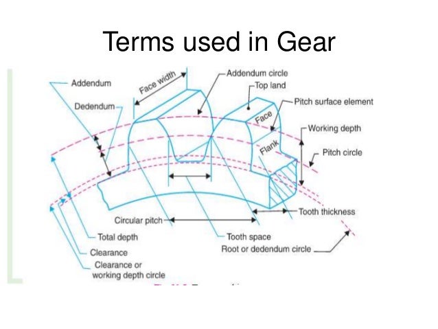 Gear tooth terminology