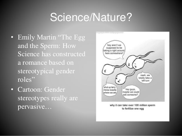 Topic: the egg and the sperm by emily martin writing essays