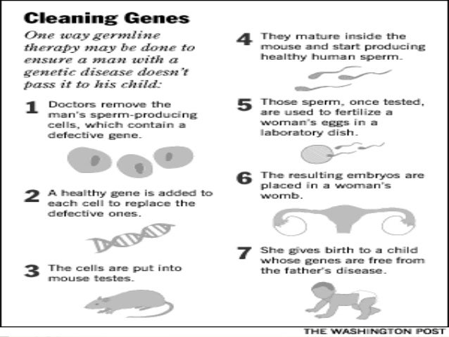 how does creatine affect your body essay Science essays: creatine of creatine stored in their body 95-98% of creatine in your body is in side effects induced by creatine monohydrate. how does creatine affect your body essay Science essays: creatine of creatine stored in their body 95-98% of creatine in your body is in side effects induced by creatine monohydrate.