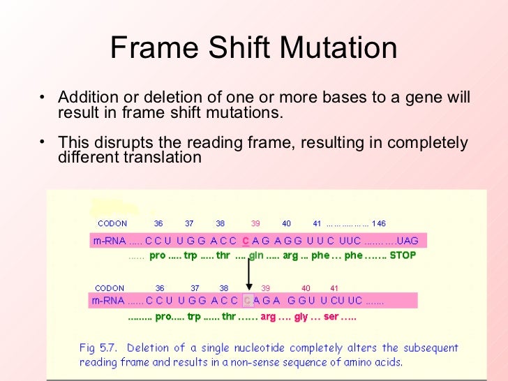 Gene mutation