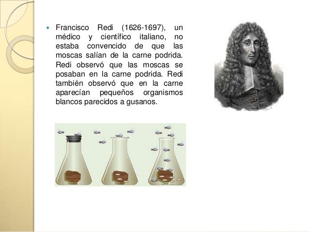 Generación espontanea