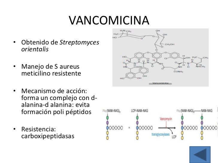 Generalidades antimicrobianos