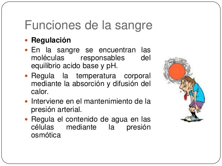 Generalidades de la sangre