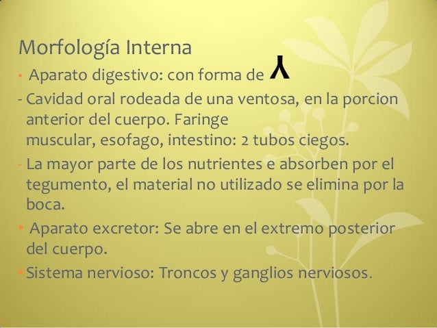 De que parásitos puede ser la tos al niño