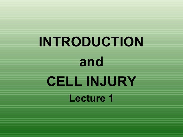 Cell injury essay 03 picture
