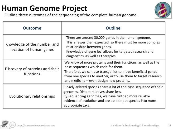An argument against genetic engineering