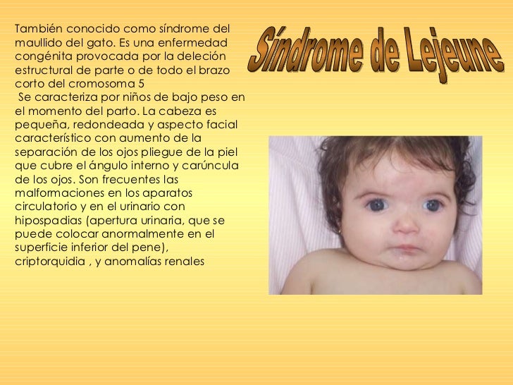 A quien dirigirse sanar del alcoholismo