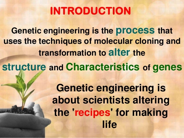 Human genetic engineering case studies