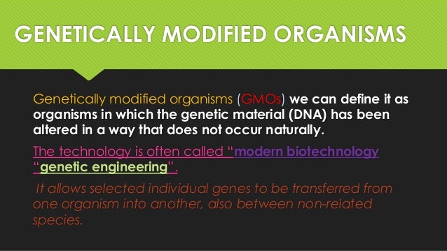 gmf genetically modified food Like the computer and wireless communication, genetically modified food is the result of recent innovation begun in the mid-1800s, the science of genetics gained. gmf genetically modified food Like the computer and wireless communication, genetically modified food is the result of recent innovation begun in the mid-1800s, the science of genetics gained.