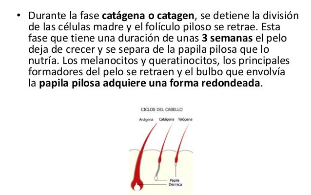 El médico triholog en nikolaeve las revocaciones