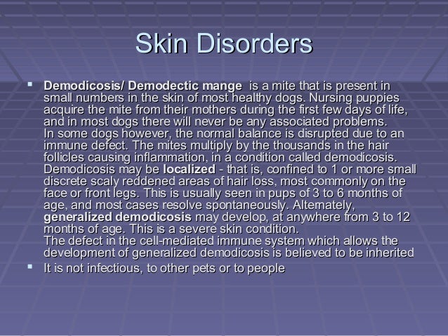 Genetic Disorders American Pit Bull Terrier