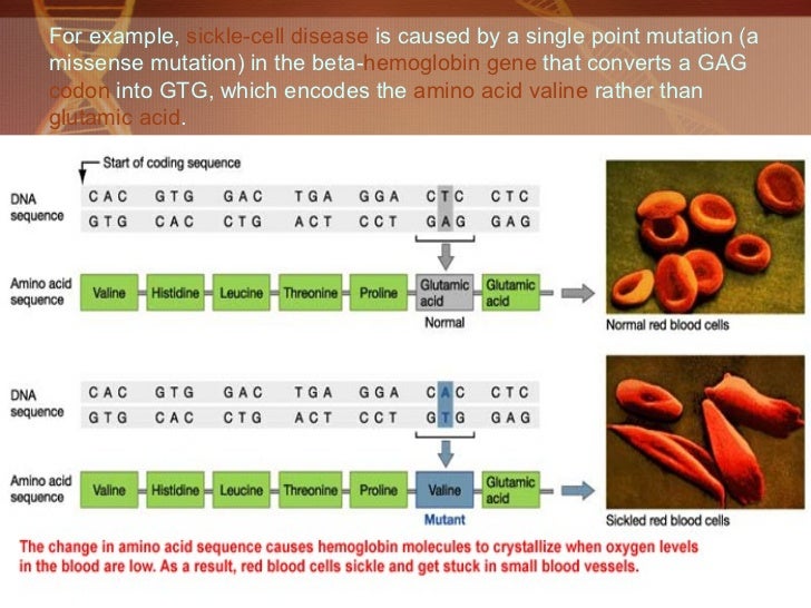 Bits And Bytes Of Biology Missence Mutation