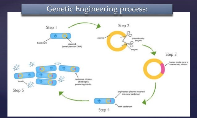dna testing essay Genetic testing detects alterations in dna or genetic testing has potential benefits whether the results are positive or haven't found the essay you. dna testing essay Genetic testing detects alterations in dna or genetic testing has potential benefits whether the results are positive or haven't found the essay you.