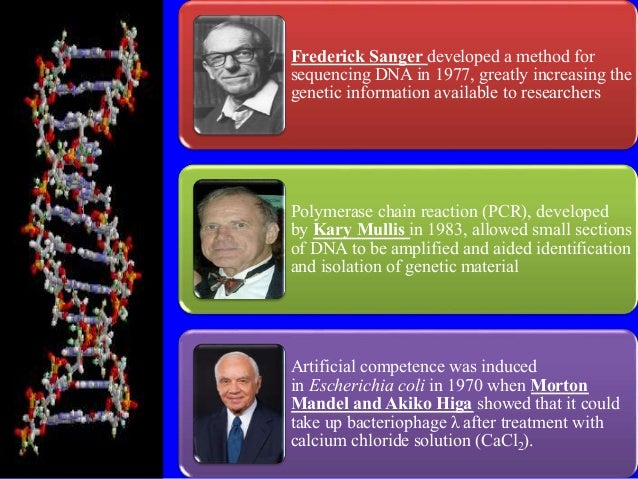 Research design example sociology