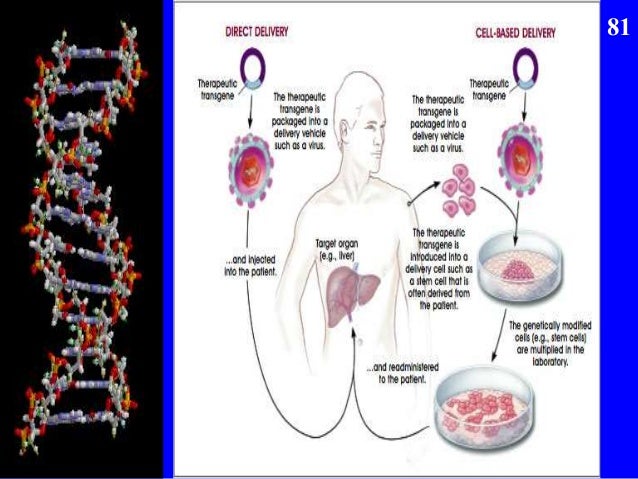 Human genetic engineering case studies