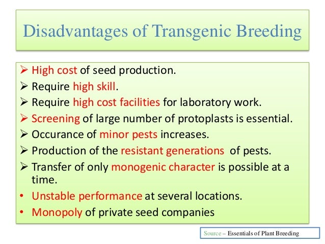 advantages and disadvantages of cross breeding in crops Development of genetically modified crops or domestic livestock could reduce genetic cause more serious diseases and have a tendency to cross breed species. advantages and disadvantages of cross breeding in crops Development of genetically modified crops or domestic livestock could reduce genetic cause more serious diseases and have a tendency to cross breed species.
