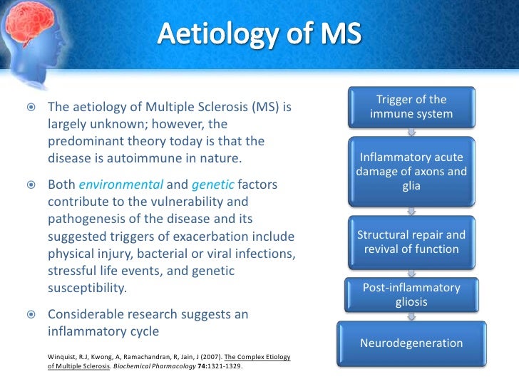 Insights Into Multiple Sclerosis Pathogenesis