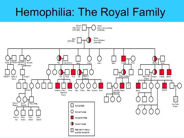 hemophilia royal family hemophilia royal family