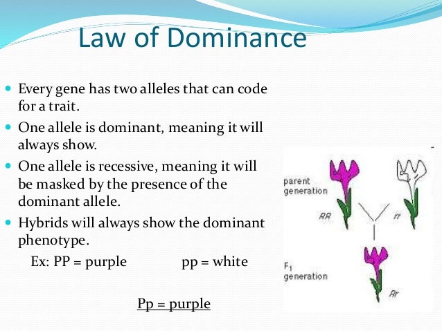 what is law of dominance and recessiveness