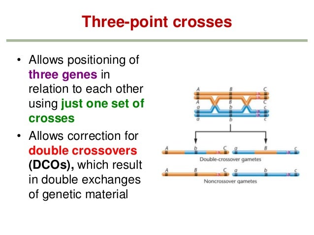 Genetics Chapter Genetics Chapter