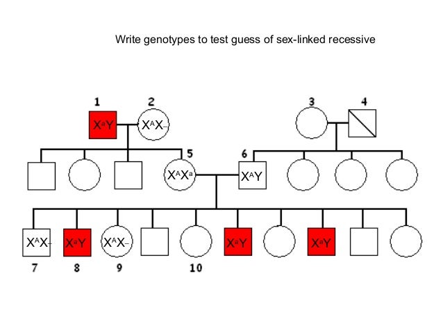 Sex linked traits multiple choice questions