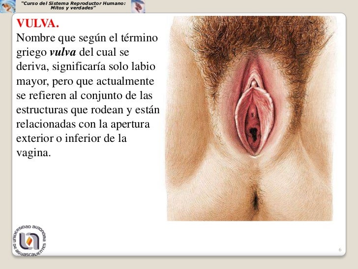 Que curar al niño de atopicheskogo de la dermatitis