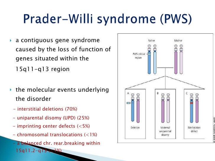 What Is Prader Willi Syndrome A Genetic Disorder That A