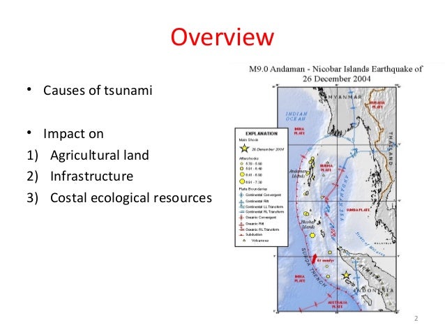 the effects of the 2004 tsunami essay If a tsunami reaches land the effects can include loss of human and animal life, devastating property damage, severe flooding, and disease environmental effects can. the effects of the 2004 tsunami essay If a tsunami reaches land the effects can include loss of human and animal life, devastating property damage, severe flooding, and disease environmental effects can.