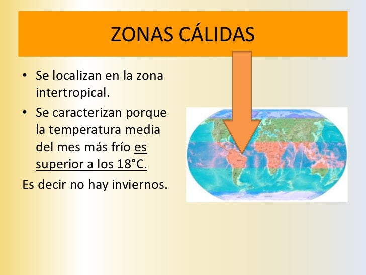 RELACIÓN CLIMA Y       Bosque fríoVEGETACIÓN                    Bosque templado                                           ...