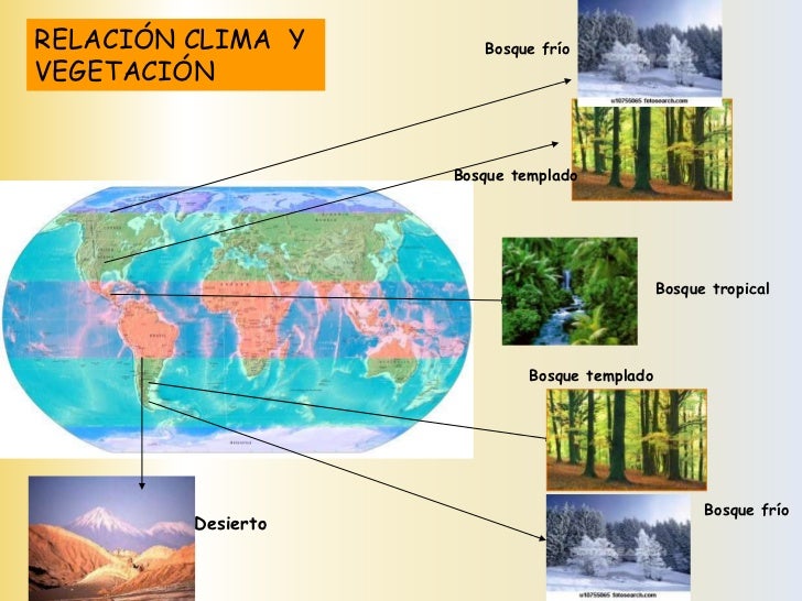 ¿Qué es un bioma?- UN CONJUNTO DE ECOSISTEMASCARACTERÍSTICOS DE UNA ZONA, DONDE DOMINAUN PAISAJE Y UNA VEGETACIÓN- SE COMP...