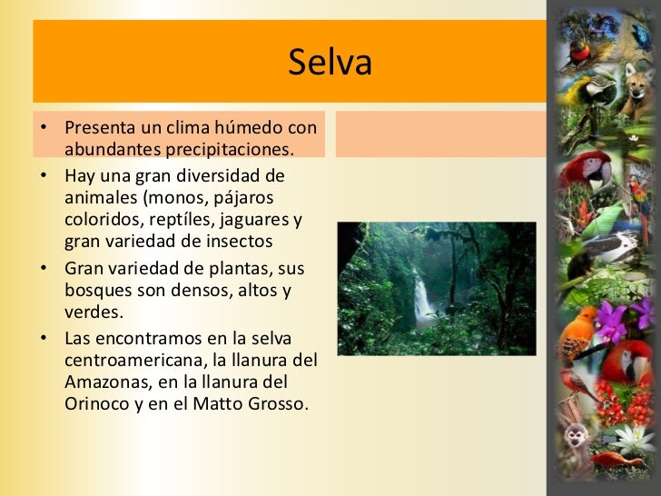 Sabana• Es un bioma de clima árido  y su relieve es la llanura.• Presenta poca vegetación y  muy dispersa (hiervas altas, ...