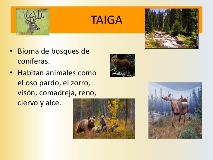 PROTEGER LOS ESPACIOS NATURALES- ¿PORQUÉ CREES QUE ES IMPORTANTEPROTEGERLOS?- ¿CÓMO ES QUE LOS PAISAJES NATURALESSE DESTRU...