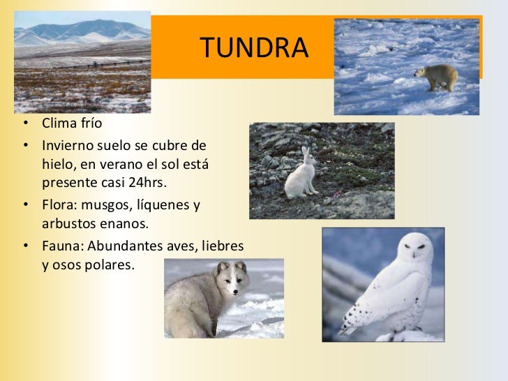 Historia, Geografía                 y Ciencias SocialesLOS RECURSOS NATURALES      DE AMÉRICA 