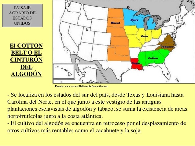 Cinturon De Algodon En Estados Unidos
