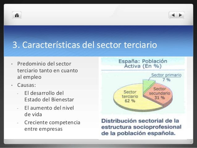 Geo práctica sector terciario