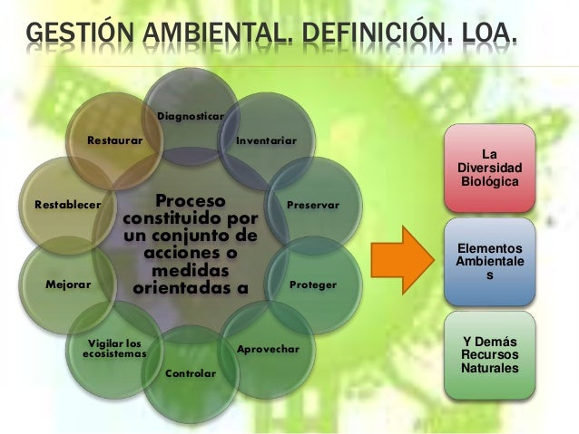 GESTIÓN AMBIENTAL. DEFINICIÓN. LOA. Proceso constituido por un conjunto de acciones o medidas orientadas a Diagnosticar In...