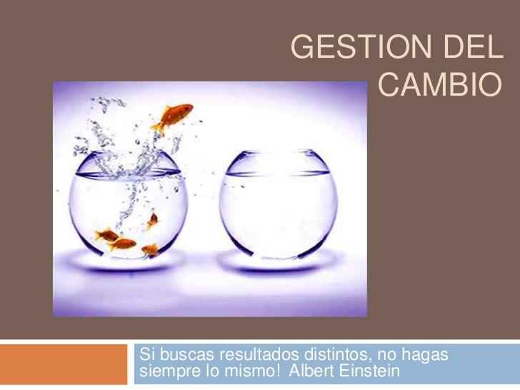 GESTION DEL CAMBIO gestion del cambio: