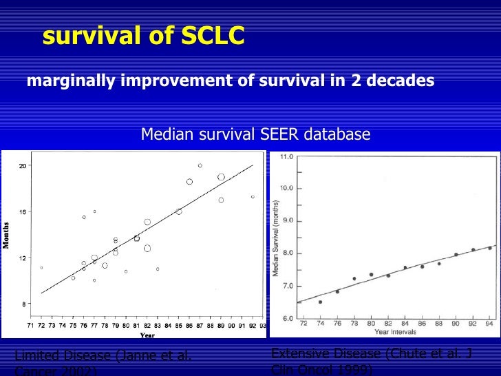 small cell lung cancer sclc sclc definition