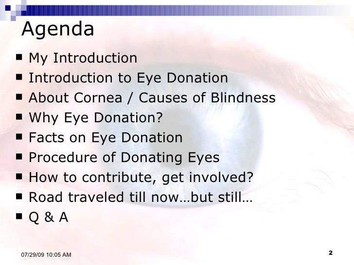 Essay Eye Donation