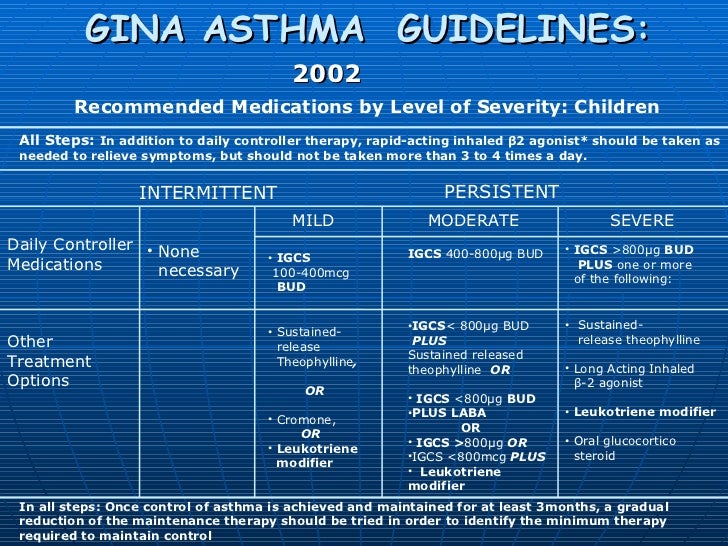 Global Initiative For Asthma Guidelines 2008