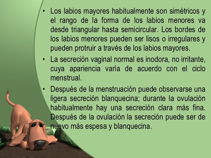 Como quitar las manchas de pigmento sobre la persona por el perejil